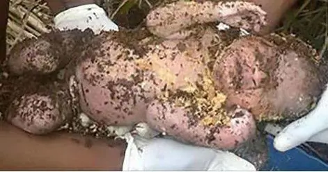 Sente piangere sotto terra: trova bimbo sepolto vivo dalla madre