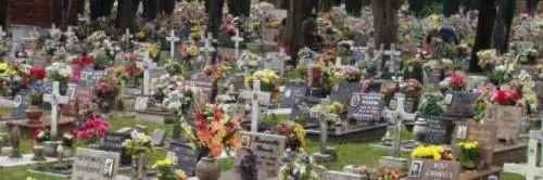 Riti esoterici al cimitero, choc in Irpinia
