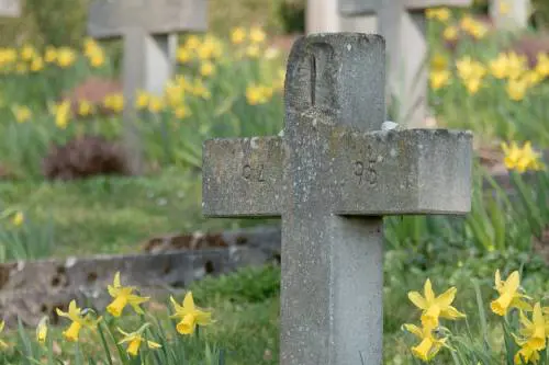 Mola di Bari, mancano i loculi al cimitero