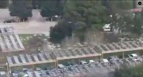 Cagliari, la denuncia del consigliere regionale: "Le pecore invadono l'ospedale"