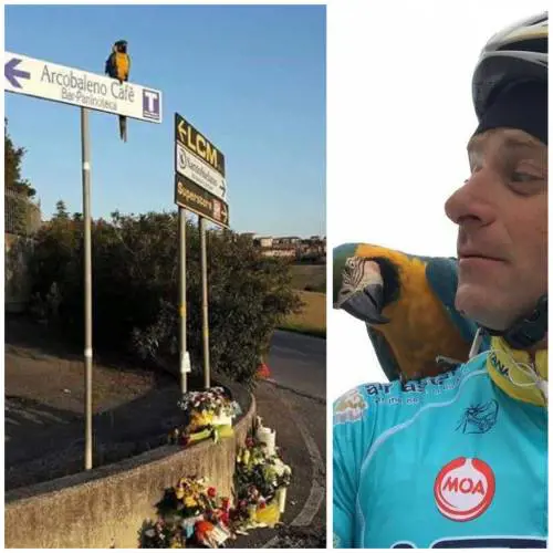 Il pappagallo Frankie non si dà pace: aspetta ancora che passi l'amico Scarponi