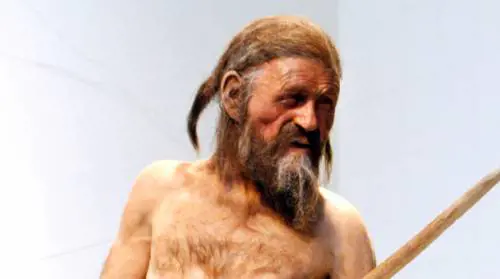 "Otzi ucciso dal freddo". L'ipotesi sulla morte dell'uomo del Similaun