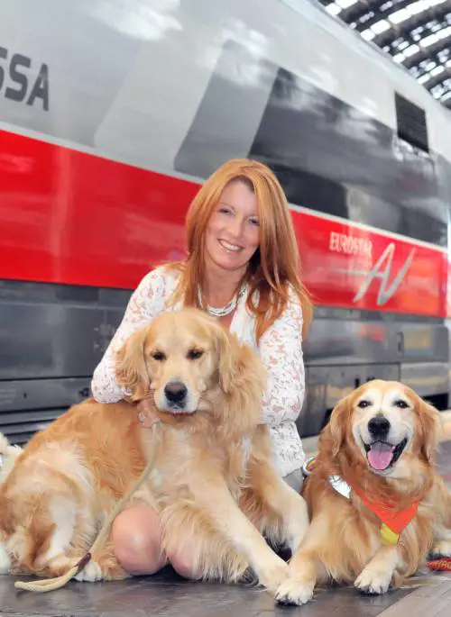 Il ritorno in tv "Dalla parte degli animali": darò famiglia a randagi e abbandonati
