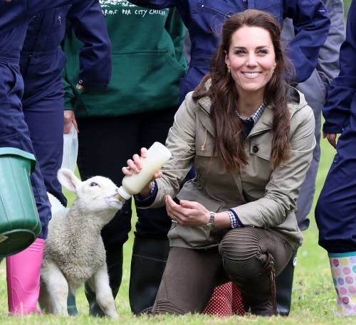 Kate dà il biberon agli agnellini