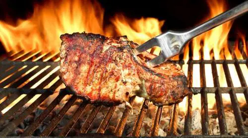 Vegana denuncia vicino per aver fatto il barbecue