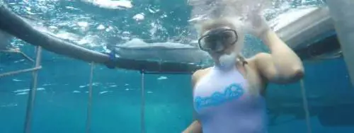 La pornostar viene attaccata da uno squalo durante il servizio fotografico in mare