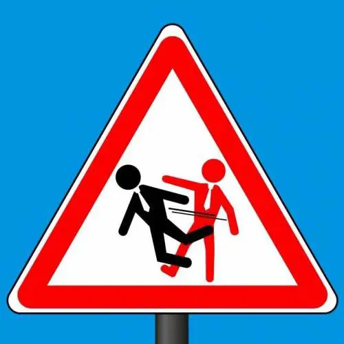 Le "lezioni" di Educazione Cinica: come rispondere senza filtri