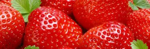 Il clima mette in crisi le fragole lucane