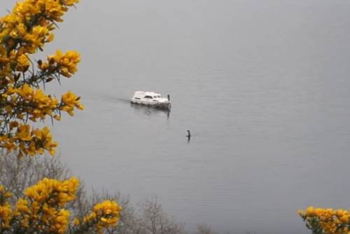 Lago di Loch Ness, nuovo avvistamento del mostro marino Nessie?