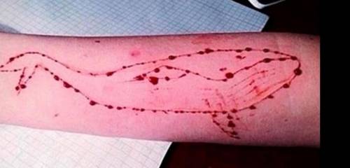 Un caso di Blue Whale a Pescara 13enne salvata prima del suicidio