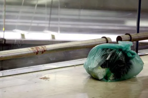 Milano, l'aggressore della stazione era stato arrestato per droga