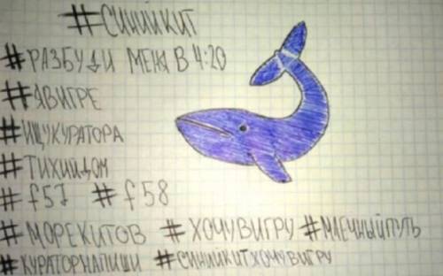 L'incubo "Blue Whale" rispunta in Russia: morti altri due adolescenti