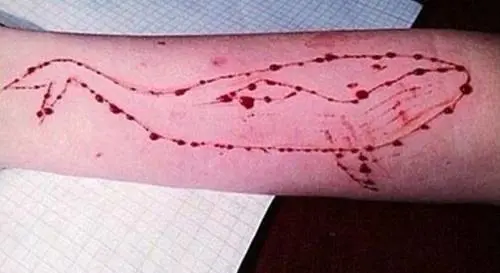 La Iena Viviani torna sulla Blue Whale: "Arrestato curatore russo"