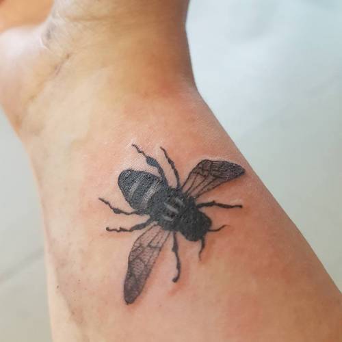 Manchester, dopo l'attentato tutti si tatuano un'ape: ecco perché