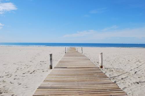 L'allarme dei servizi britannici: "Rischi sulle spiagge"