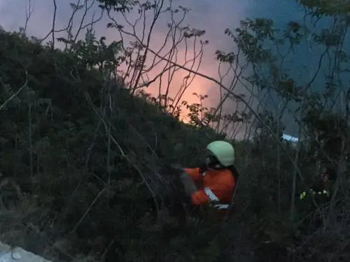 Migranti danno fuoco ai boschi per aprirsi un varco in Francia