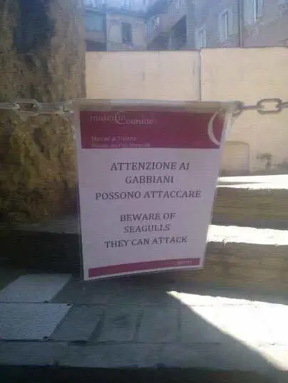 Foto: pagina Facebook Roma Fa Schifo