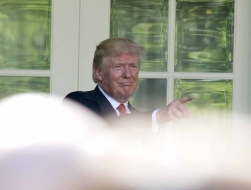 Bufala rinnovabili. È proprio Donald che salva il pianeta