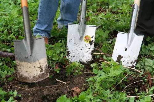 Roma arruola i migranti: "Saranno i nostri giardinieri"