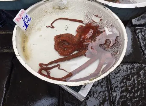 Napoli, piazza Garibaldi e Porta Nolana