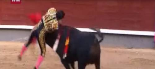 Colpito al polmone durante la corrida: muore il torero Ivan Fandiño