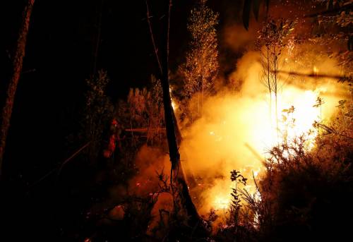 Portogallo, incendio nei boschi: 62 morti