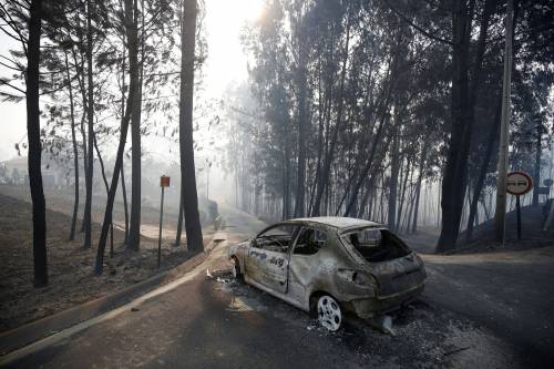 Incendio in Portogallo: 58 morti