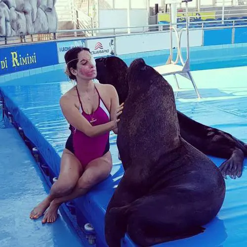 Rimini, chiude il Delfinario di Gessica Notaro: "Ora ho perso tutto"