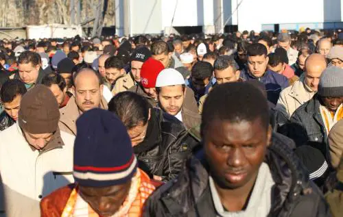 Ius soli, Tonelli: "A un terrorista basterà fare un figlio per non essere espulso"