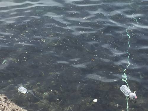 Napoli e il problema delle acque inquinate