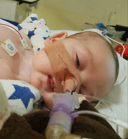 Su Charlie Gard accuse all'Ue. "Ora cambiare biotestamento"