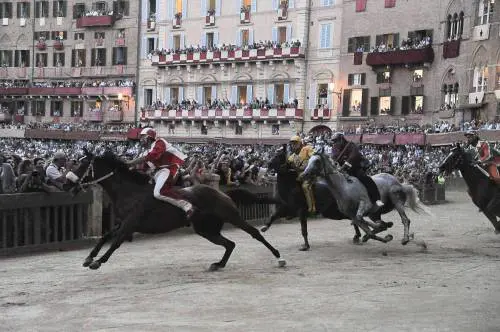 Palio di Siena, vince la Giraffa