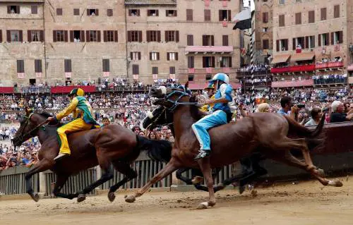 Palio di Siena, abbattuto Raol, il cavallo della Giraffa