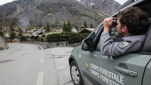 La Calabria batte il Canada: un forestale ogni 191 abitanti