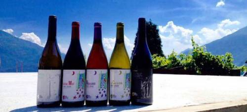 Il vino di Como, una lunga storia da bere