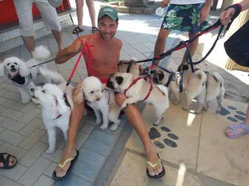 Vacanze al bau-llionaire La spiaggia per cani vip senza ossi ma col gelato