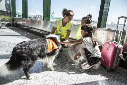 Malpensa e Linate, in volo senza stress con gli amici a quattro zampe