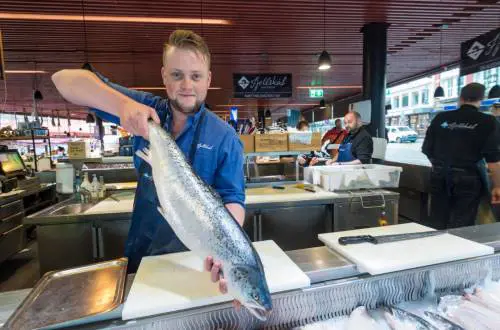 Allevamenti e ricerca: così nasce il salmone che sfamerà il mondo