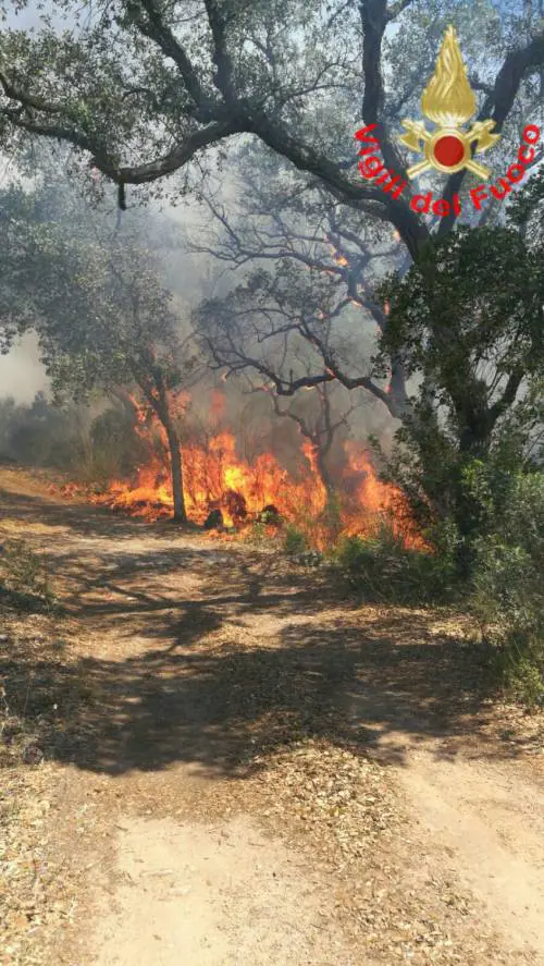 Emergenza incendi: due vittime in Calabria