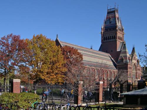 Harvard vuole mettere al bando le confraternite studentesche