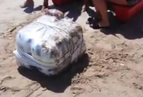 Pescara, pacchi di marijuana si arenano sulla spiaggia
