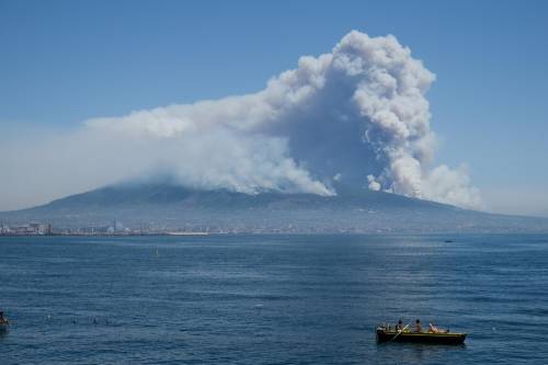 FederlegnoArredo e Afi: piante per ricostruire i boschi distrutti dagli incendi sul Vesuvio