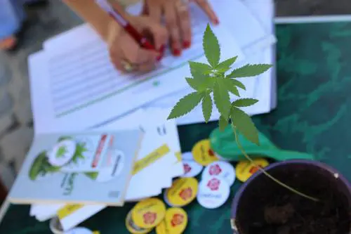 Cannabis, a Montecitorio arrivano i corsi di autocoltivazione