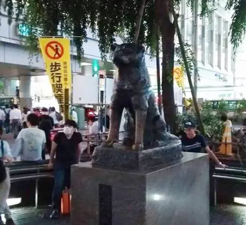 A Tokyo, tutti in fila per un selfie con Hachiko 