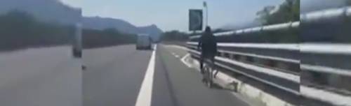 Quindici migranti con le bici in autostrada: fermati dalla polizia stradale