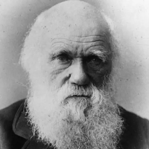 Dopo la Turchia anche l'Iraq cancella Darwin dalle scuole