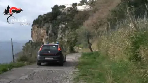 Rapina stile "Arancia meccanica". Tra i ladri pure un 12enne rom