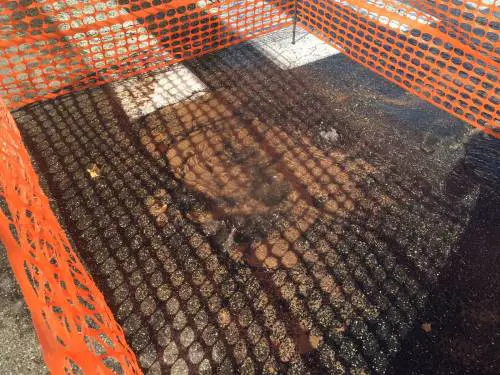 Roma, rubinetti chiusi ma le perdite d'acqua non vengono riparate