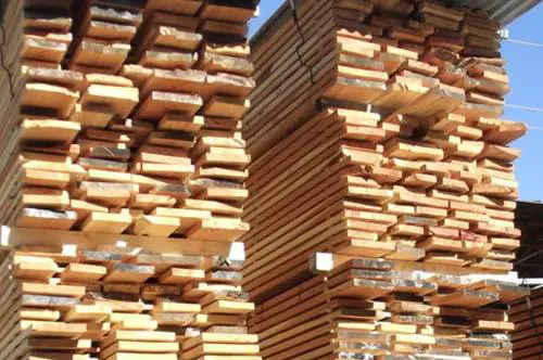 Legname di latifoglie, a Venezia la Hardwood Conference analizza scenari e prospettive