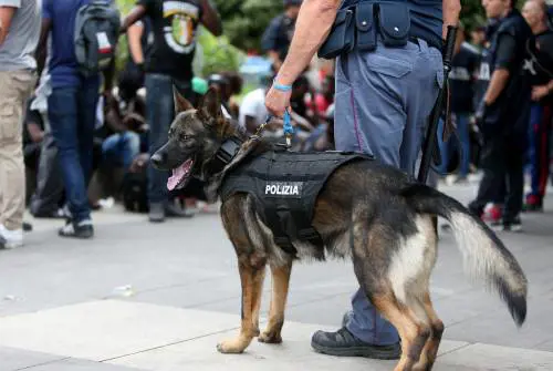 Dal Sud al Nord, l'ascesa della mala nigeriana